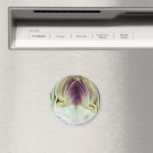 抽象芸術質感アーティチョークプロファイル マグネット (インサイチュ (食洗機))