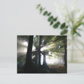 抽象芸術 ポストカード (スタンド正面)