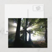 抽象芸術 ポストカード (正面/裏面)