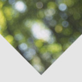 抽象芸術《写真》ぼけ味春ティッシュペーパー 薄葉紙 (詳細)