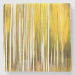 抽象芸術《植物》アスペン ストーンコースター