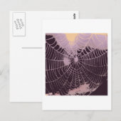 抽象芸術Spider Web ポストカード (正面/裏面)