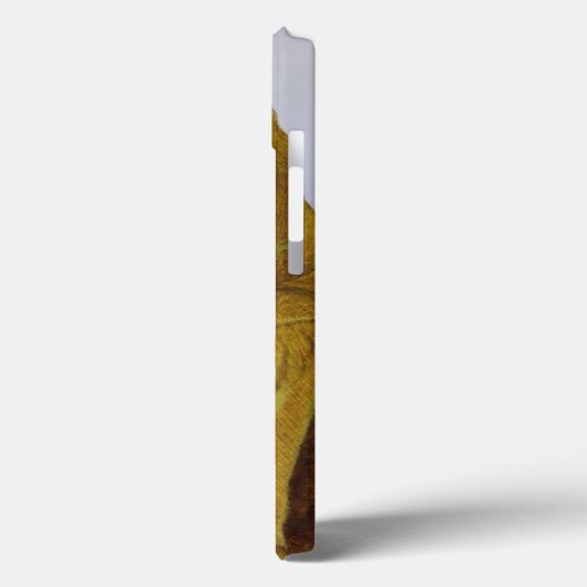 担当した Case-Mate iPhoneケース (裏面 / 左)