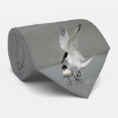 招くサンドイッチアジサシ ネクタイ (ロール)