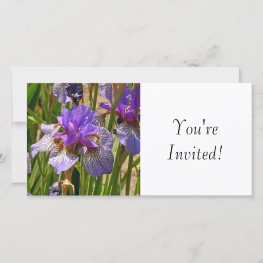 招待されました (正面)