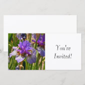 招待されました (正面/裏面)