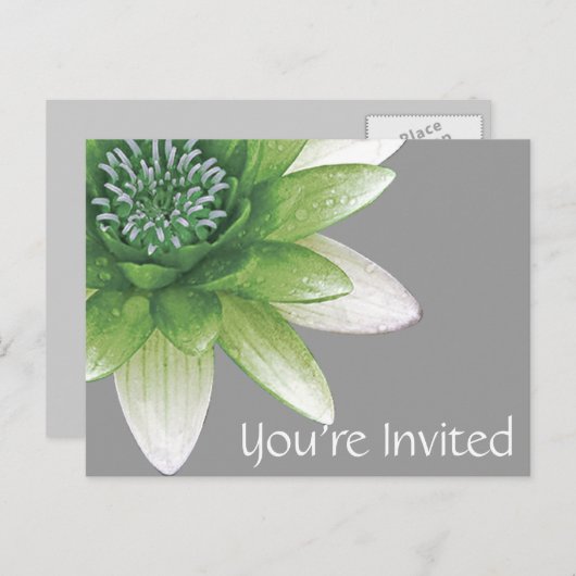 招待されました|の平和l美しい緑のはす インビテーションポストカード (正面/裏面)