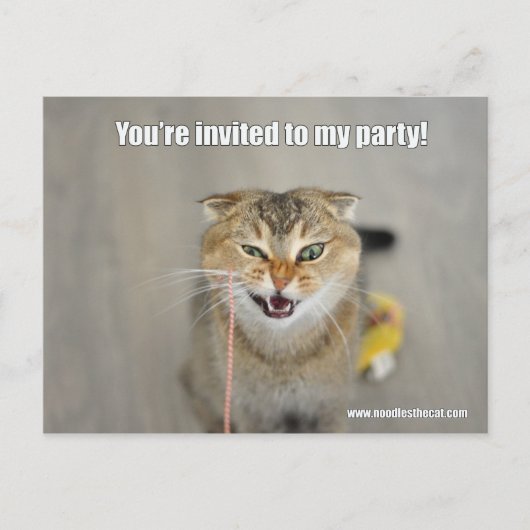 招待されました インビテーションポストカード (正面)