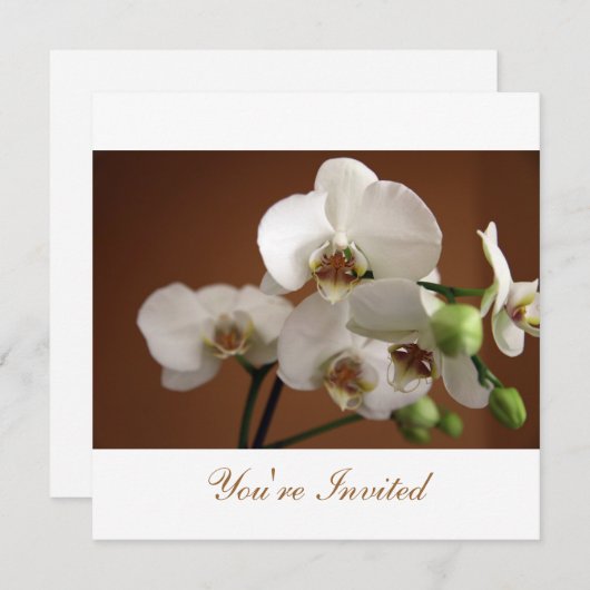 招待されました 招待状 (正面/裏面)