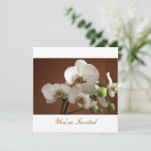 招待されました 招待状 (スタンド正面)