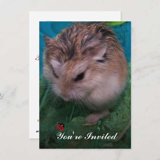 招待されました 招待状 (正面/裏面)