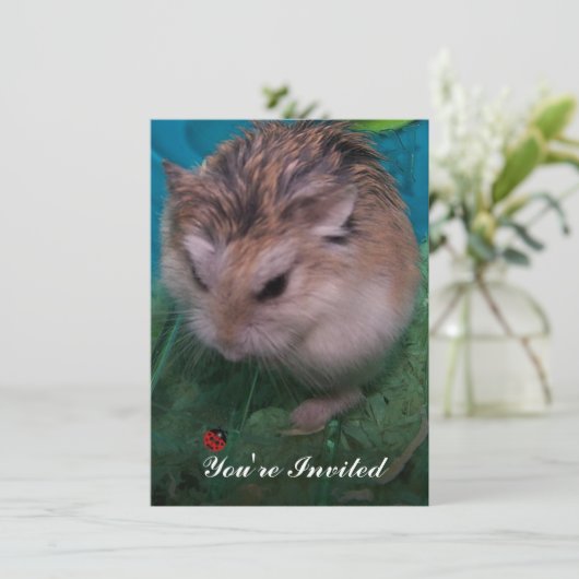 招待されました 招待状 (スタンド正面)