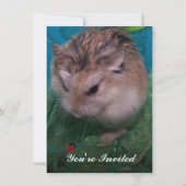 招待されました 招待状 (正面)