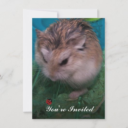 招待されました 招待状 (正面)