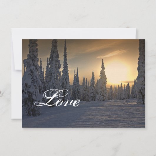 招待を結婚する松の木の冬休みの雪 招待状 (裏面)