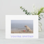 招待状とラブラドール写真 招待状 (スタンド正面)