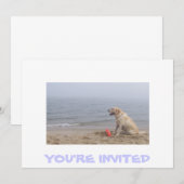 招待状とラブラドール写真 招待状 (正面/裏面)