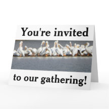 招待状のグリーティングカード, ペリカン