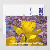 招待状の誕生会カード春のラッパスイセン 招待状 (正面/裏面)