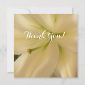 招待状は花の飾りか 招待状 (裏面)