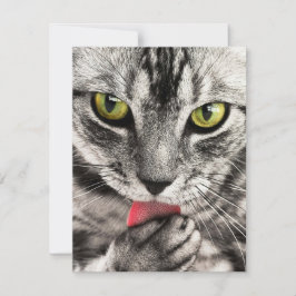 招待状ひな形グリーティングカード シーズンカード