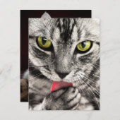 招待状ひな形グリーティングカード シーズンカード (正面/裏面)