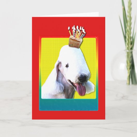 招待状カップケーキ – ベドリントンテリア 招待状 (正面)