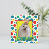 招待状カップケーキ-マルチーズ 招待状 (スタンド正面)