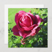 招待状カード 招待状 (正面/裏面)