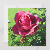 招待状カード 招待状 (正面)