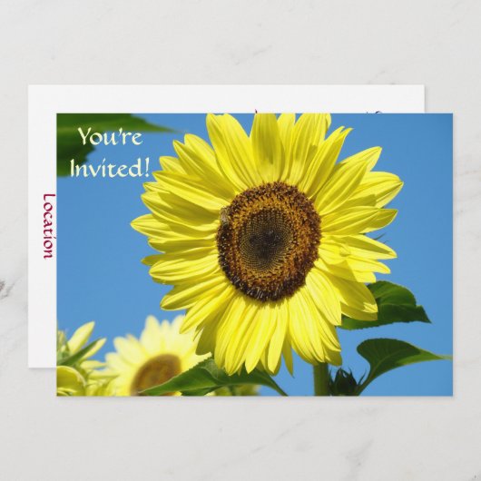 招待状サンフラワーズ招待されましたマザーズデー 招待状 (正面/裏面)