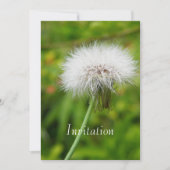 招待状タンデロン 招待状 (正面)