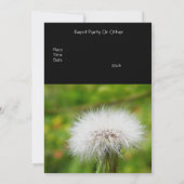 招待状タンデロン 招待状 (裏面)