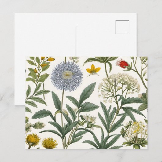 招待状ポストカード (正面/裏面)