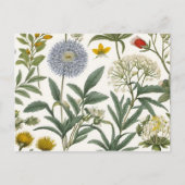 招待状ポストカード (正面)