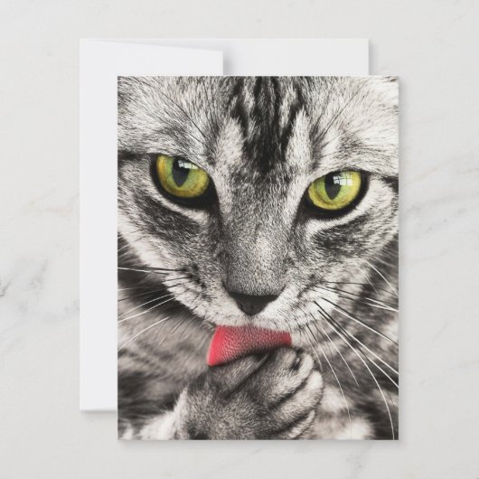 招待状文房具グリーティングカードHolida シーズンカード (正面)