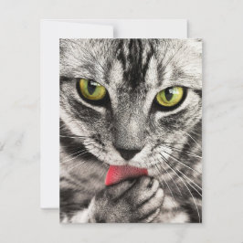 招待状文房具グリーティングカードHolida シーズンカード