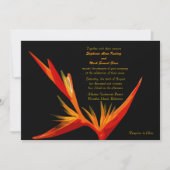 招待状極楽鳥 招待状 (正面)