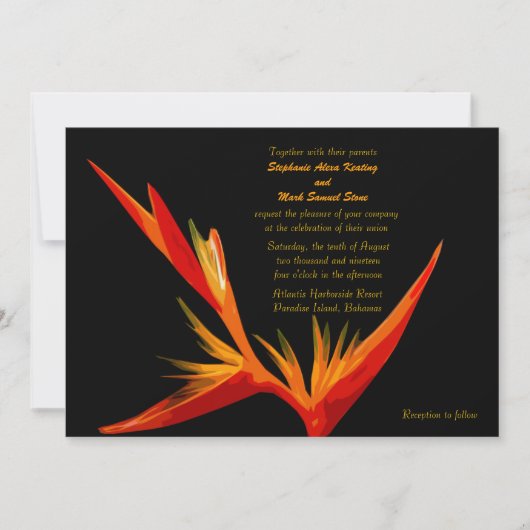 招待状極楽鳥 招待状 (正面)