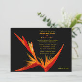 招待状極楽鳥 招待状 (スタンド正面)