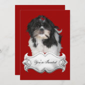 招待状紫津シーズー（犬）珠毛犬レッドブラック 招待状 (正面/裏面)