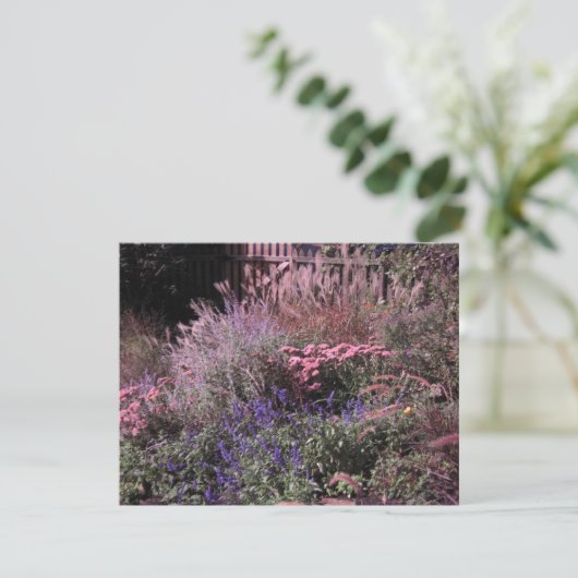 招待状 (スタンド正面)