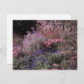 招待状 (正面/裏面)