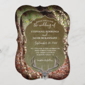 招待状 (正面/裏面)