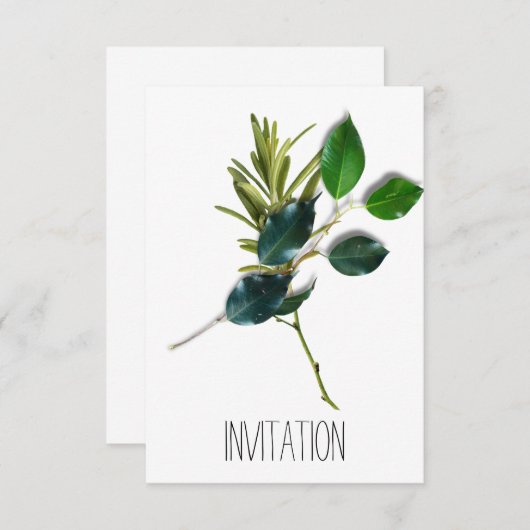 招待状 (正面/裏面)