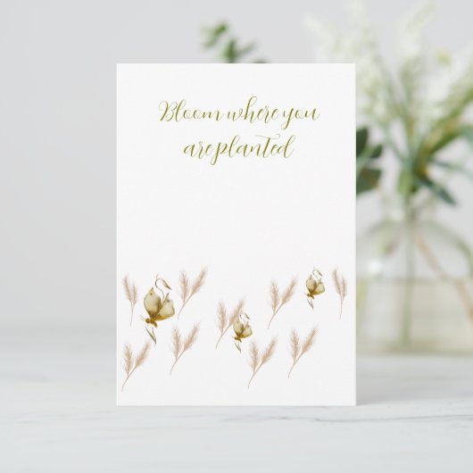 招待状 (スタンド正面)