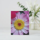 招待状 (スタンド正面)