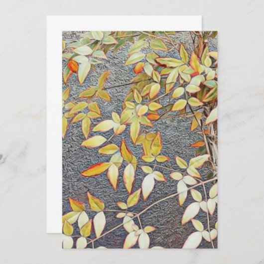 招待状 (正面/裏面)