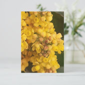 招待状 (スタンド正面)