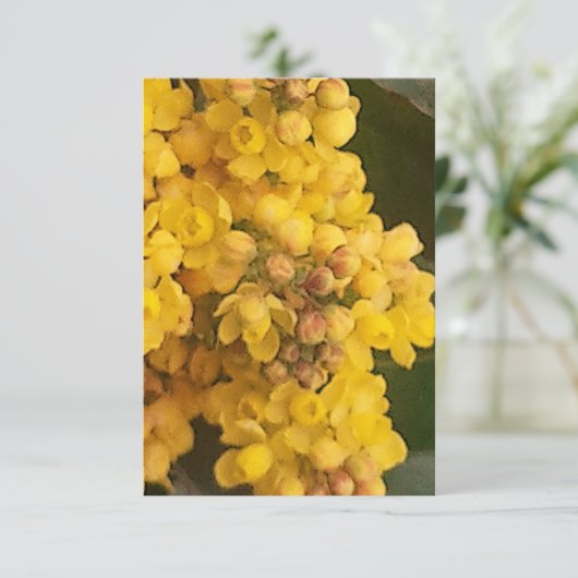 招待状 (スタンド正面)